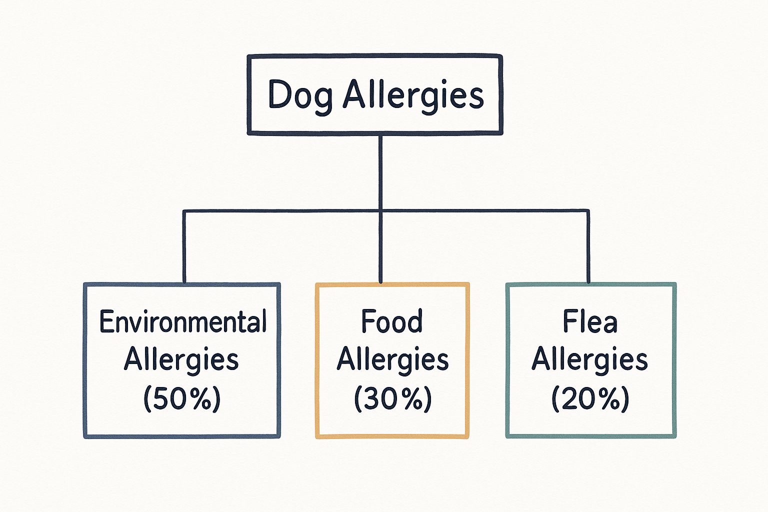 Infographic about natural treatment for dogs with allergies