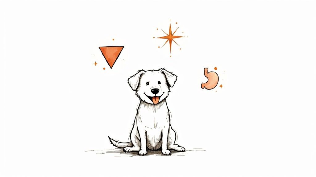 A smiling dog sitting next to its food bowl, looking healthy and content.