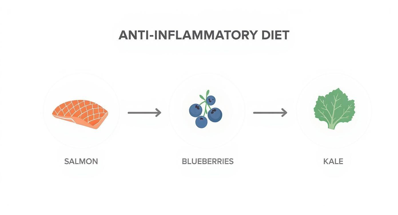 Infographic showing salmon, blueberries, and kale as key components of an anti-inflammatory diet for dogs.
