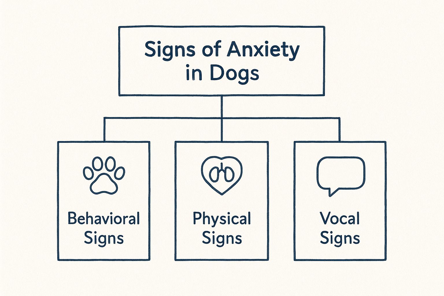 Infographic about signs of anxiety in dogs