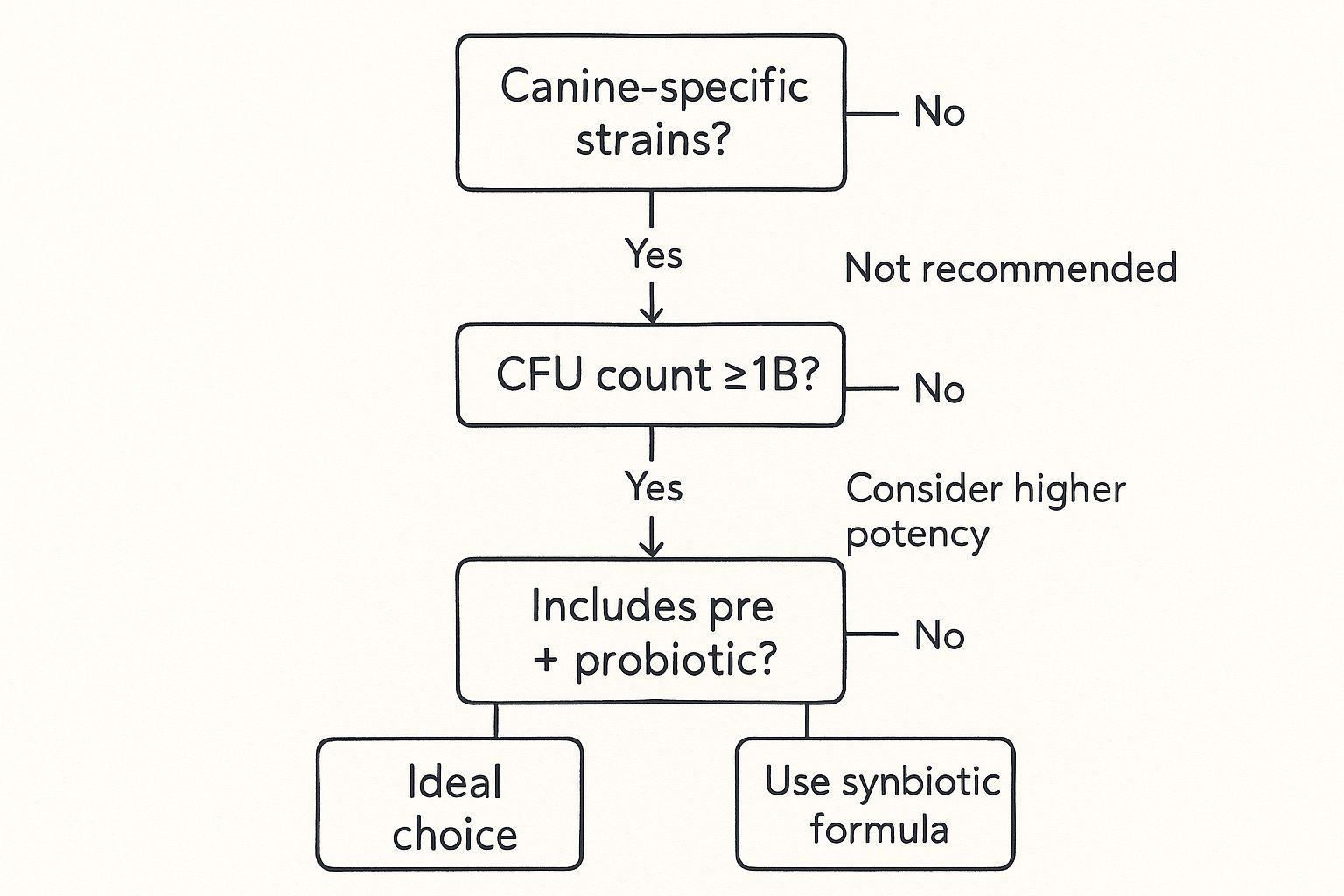 Infographic about pre & probiotics for dogs