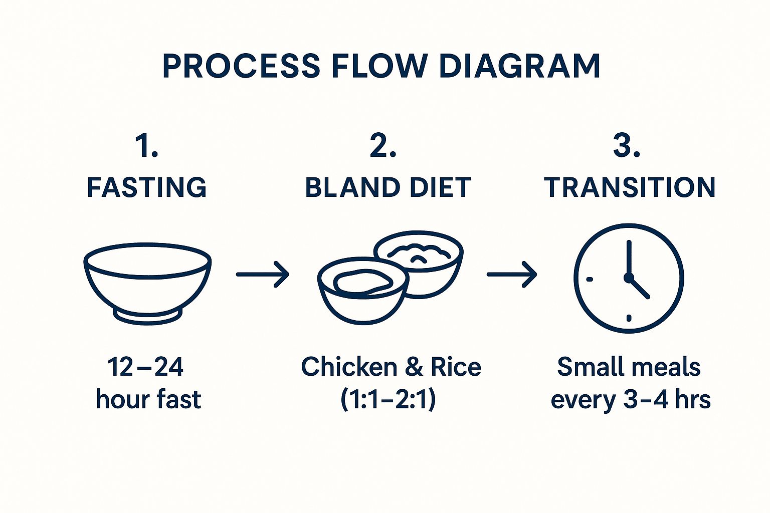 Infographic showing the three-step process for a bland diet protocol: 1. A 12-24 hour fast. 2. A diet of chicken and rice. 3. Small, frequent meals.