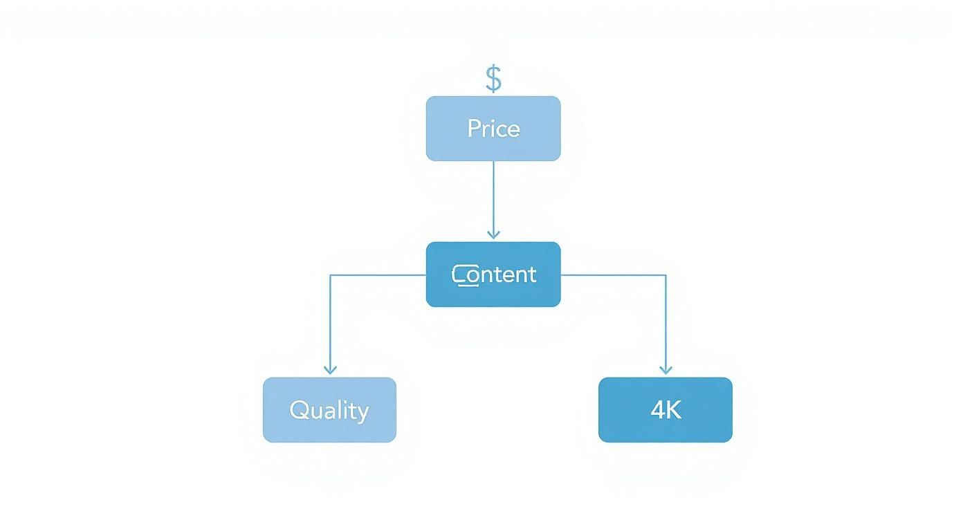 Infographic about best iptv service in usa