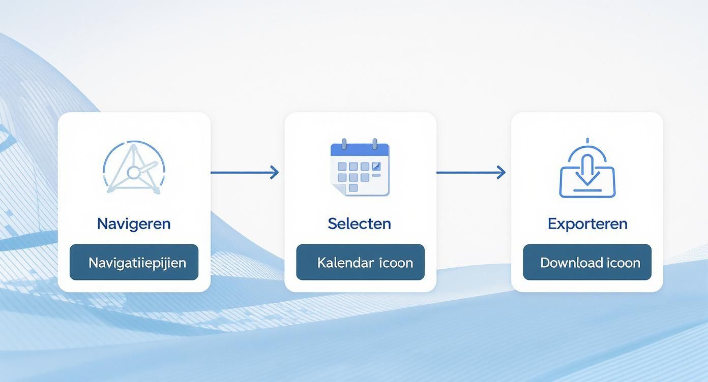 Infographic about auditfile exact online
