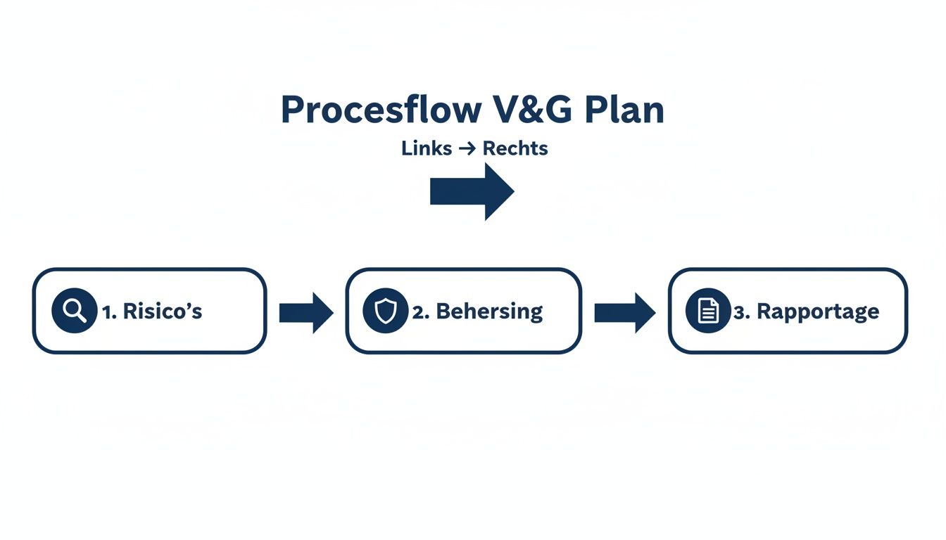 Processtroomdiagram van een V&G Plan, met stappen voor risico's, beheersing en rapportage, van links naar rechts.