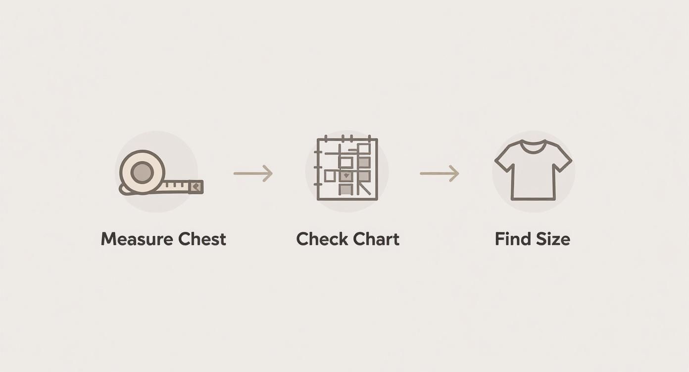 Infographic about unisex sweater size chart