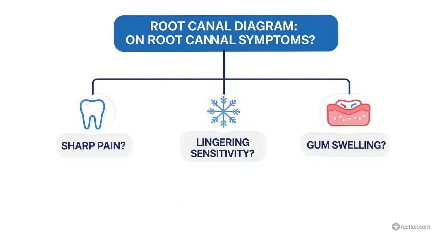 Infographic about how to know if you need a root canal