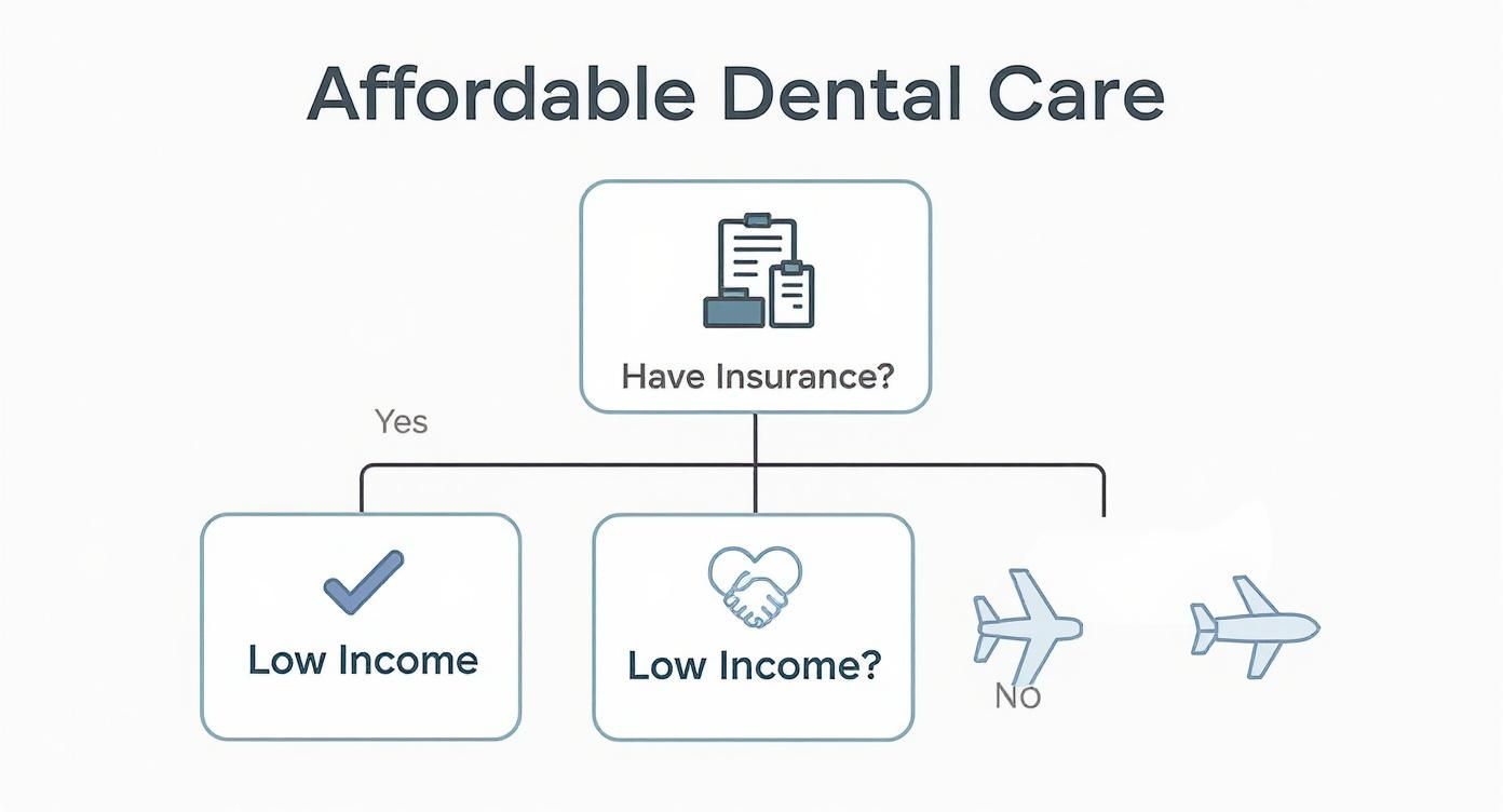Infographic about how to find affordable dental care