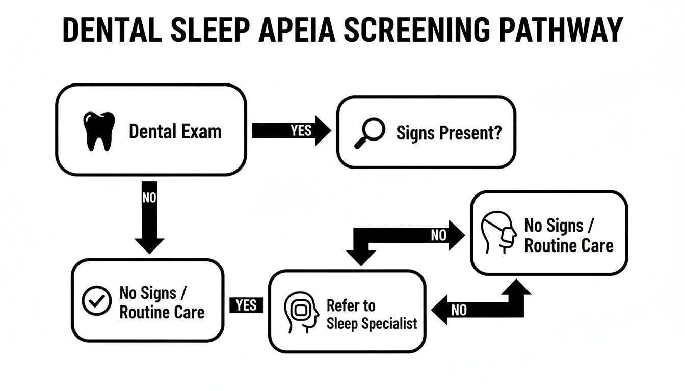 Flowchart illustrating the dental sleep apnea screening pathway, from initial dental exam to specialist referral.