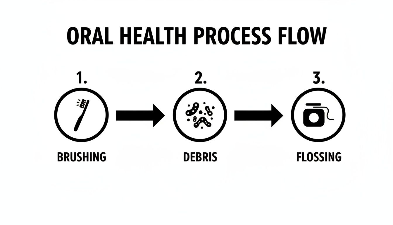 Flow diagram illustrating the oral health process: brushing, debris removal, and flossing.