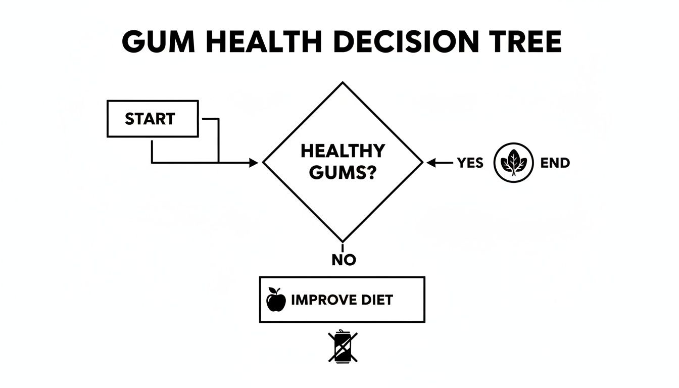 Flowchart illustrating gum health decisions: Start, Healthy Gums? Yes (End) or No (Improve Diet).