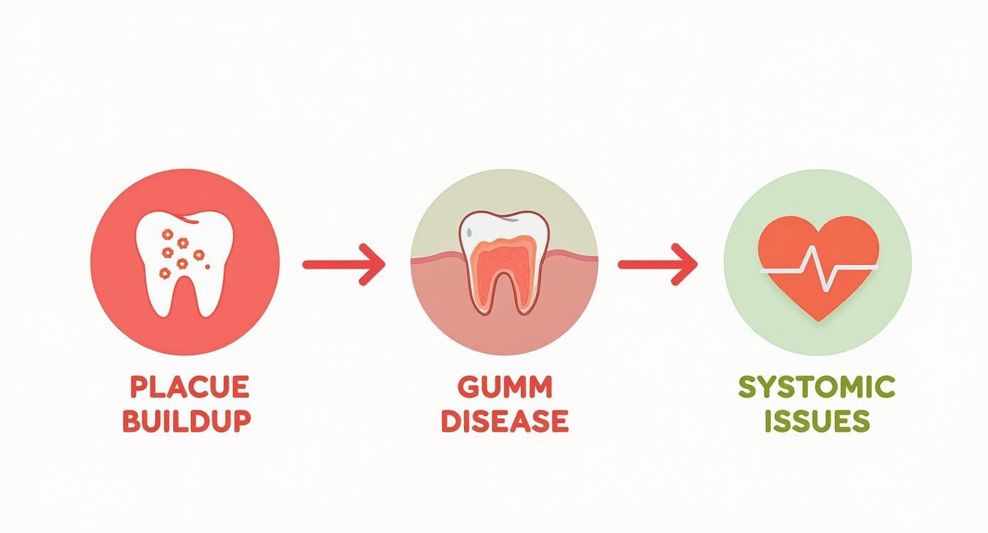 Diagram showing plaque buildup on teeth leading to gum disease and systemic health issues.