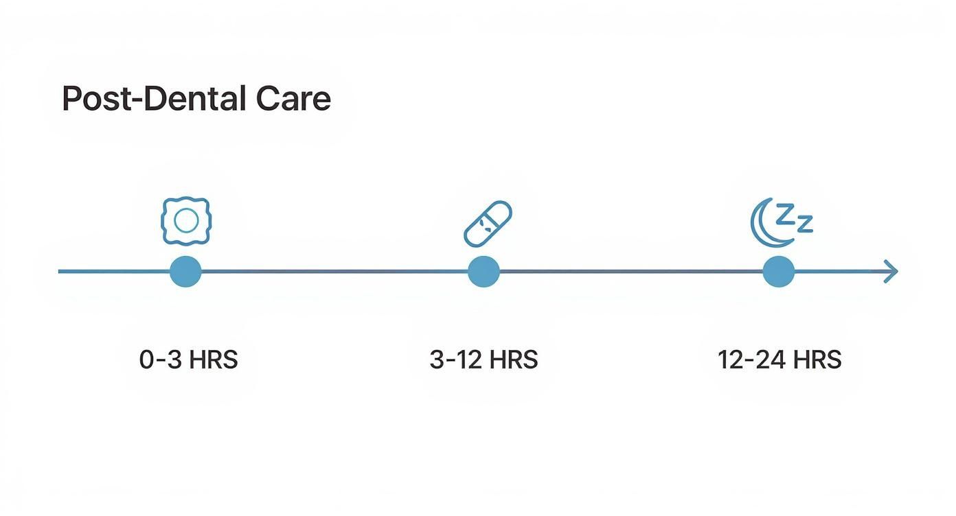 Post-dental care timeline showing three stages: gauze use, medication, and rest over twenty-four hours