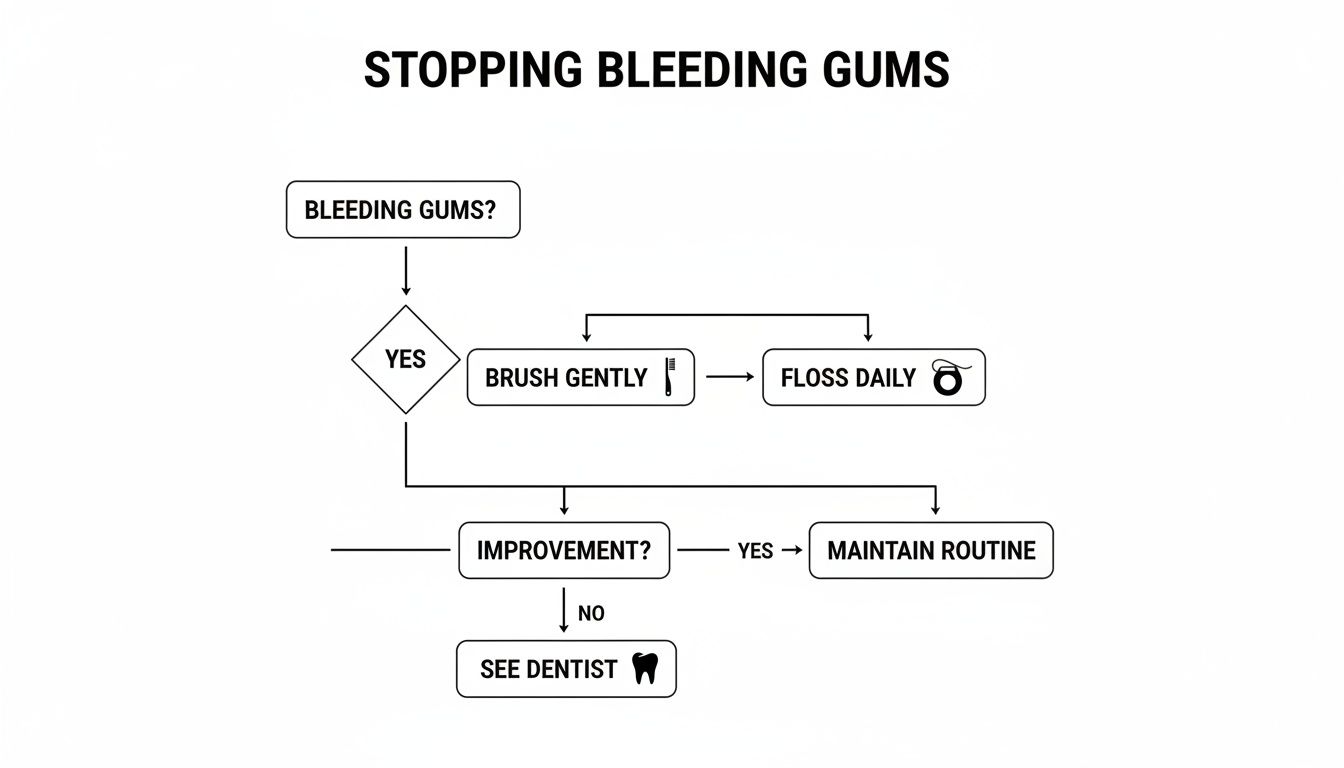 Flowchart illustrating steps to stop bleeding gums, including gentle brushing, daily flossing, and dentist consultation.