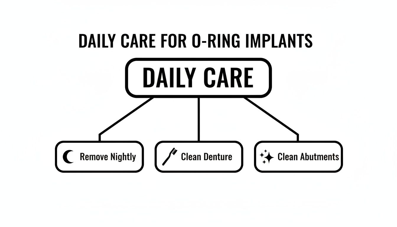Flowchart illustrating daily care steps for O-ring dental implants: remove nightly, clean denture, and clean abutments.