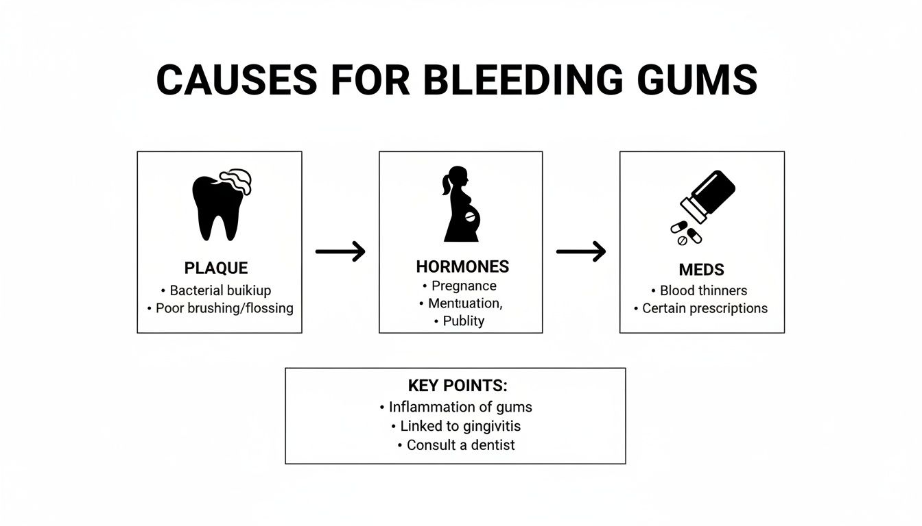 Infographic detailing causes of bleeding gums, including plaque, hormonal changes, and medications. Key points advise dental consultation.