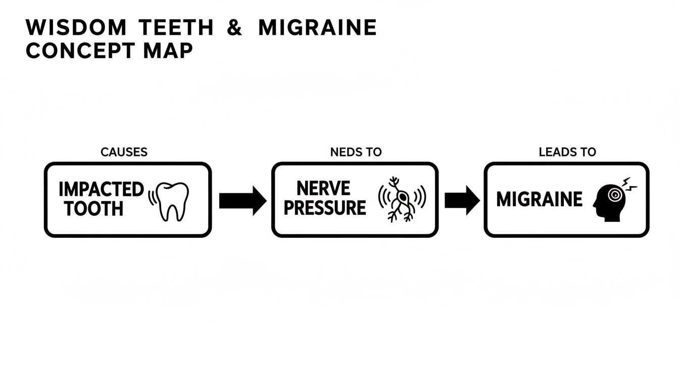 Concept map illustrating how impacted wisdom teeth can lead to nerve pressure, causing migraines.