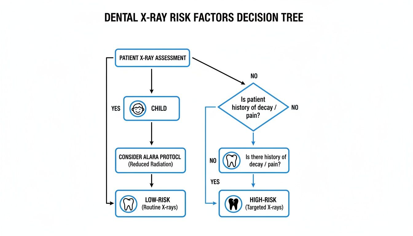 Flowchart detailing dental X-ray risk factors and decision process for patients.