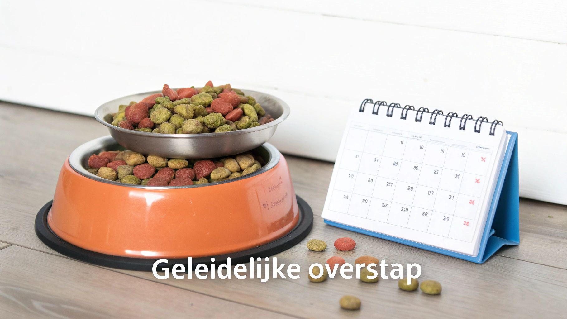 Twee hondenvoerbakken met verschillende brokken, een kalender en losse brokjes op de vloer, met de tekst 'Geleidelijke overstap'.