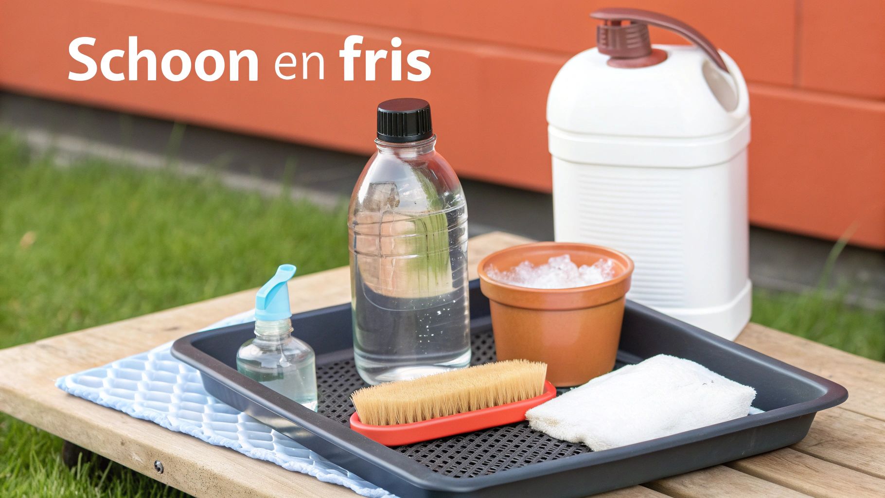 Een dienblad met diverse schoonmaakartikelen zoals flessen water, een borstel, een spons en een pot met ijs.