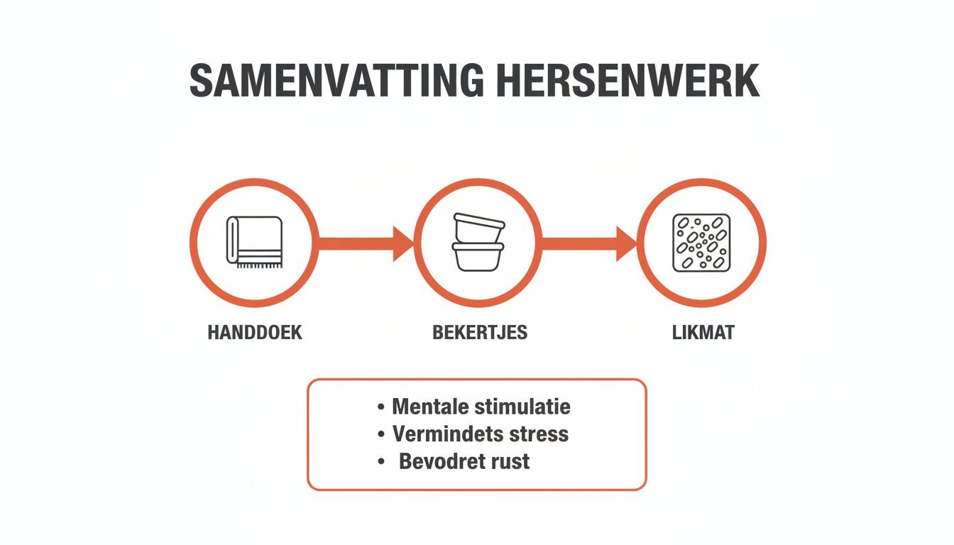 Visualisatie van hersenwerk voor honden met handdoek, bekertjes en likmat voor mentale stimulatie en rust.