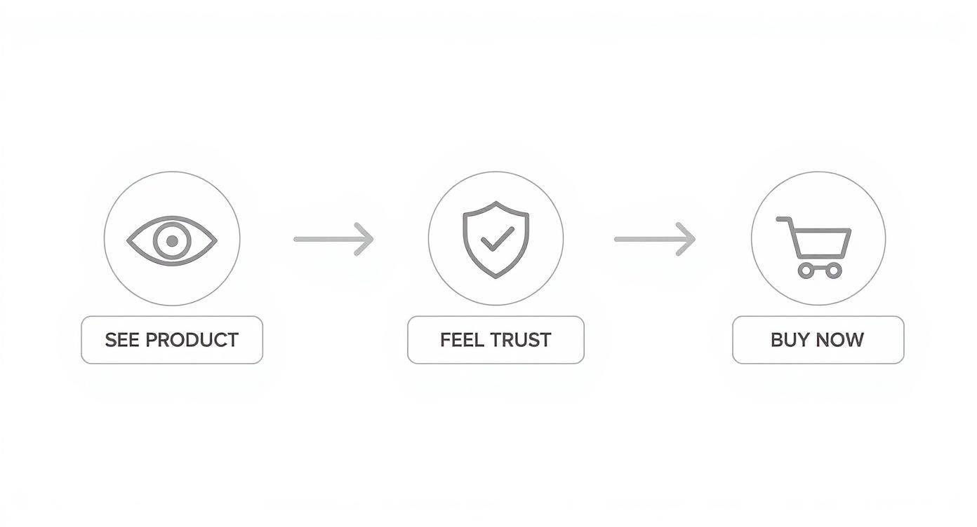 Three-step customer journey process showing see product, feel trust, and buy now conversion flow