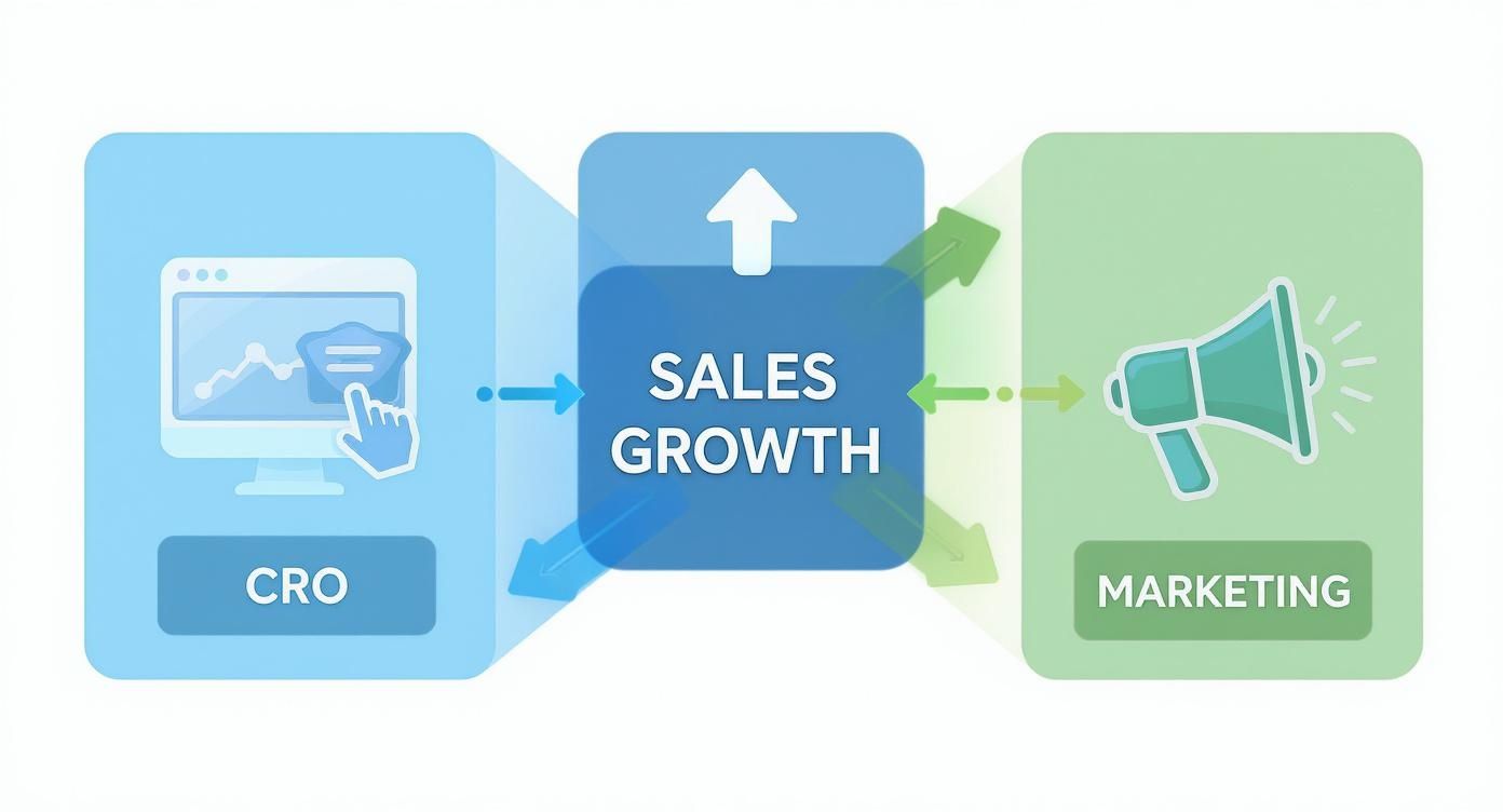 Infographic about how to increase ecommerce sales