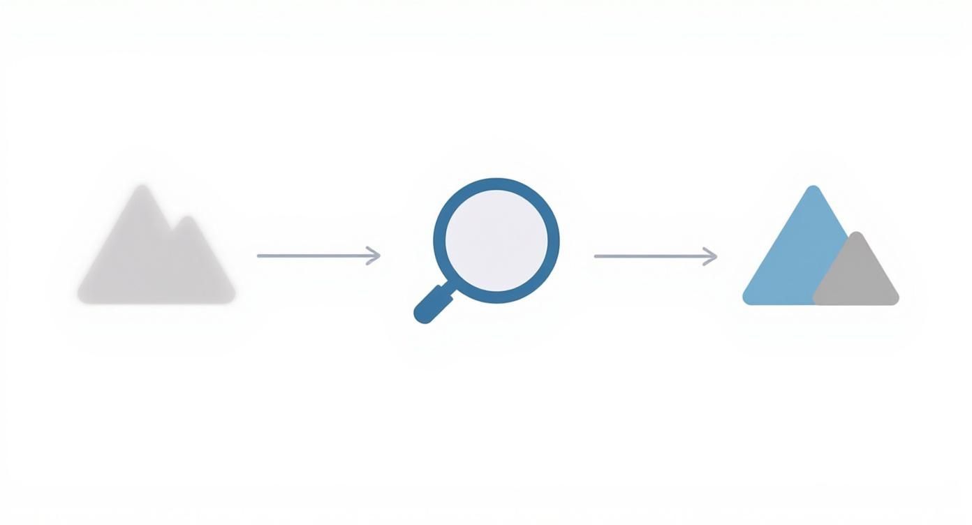 Infographic about application to fix blurry photos