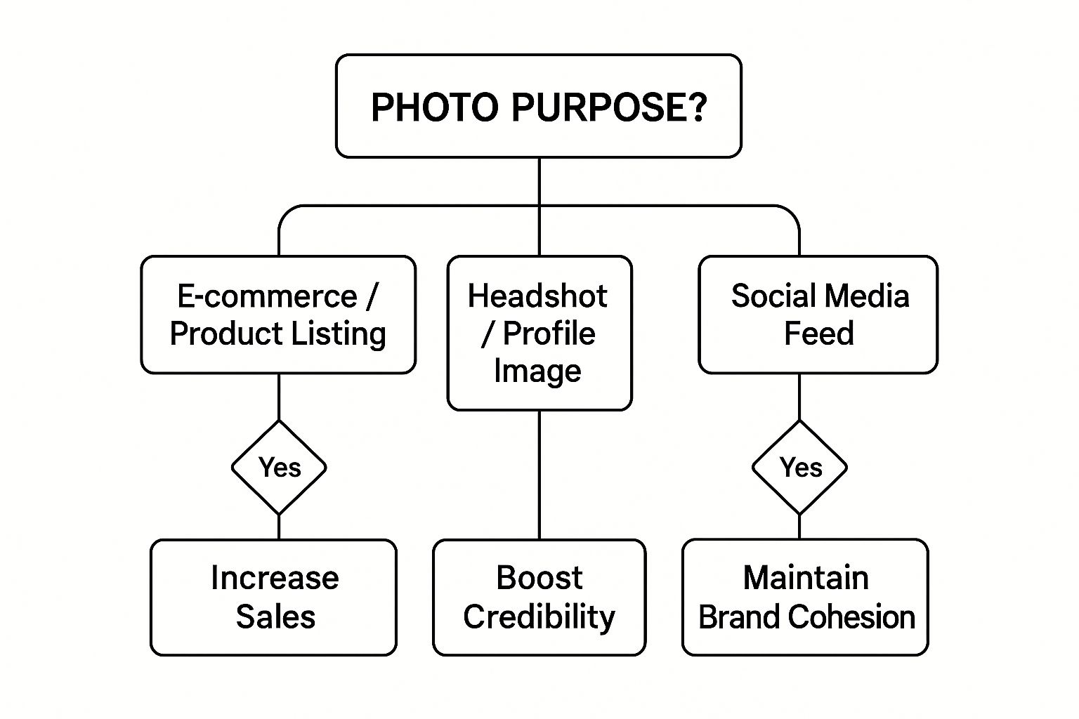 Infographic about how to edit the background of a picture