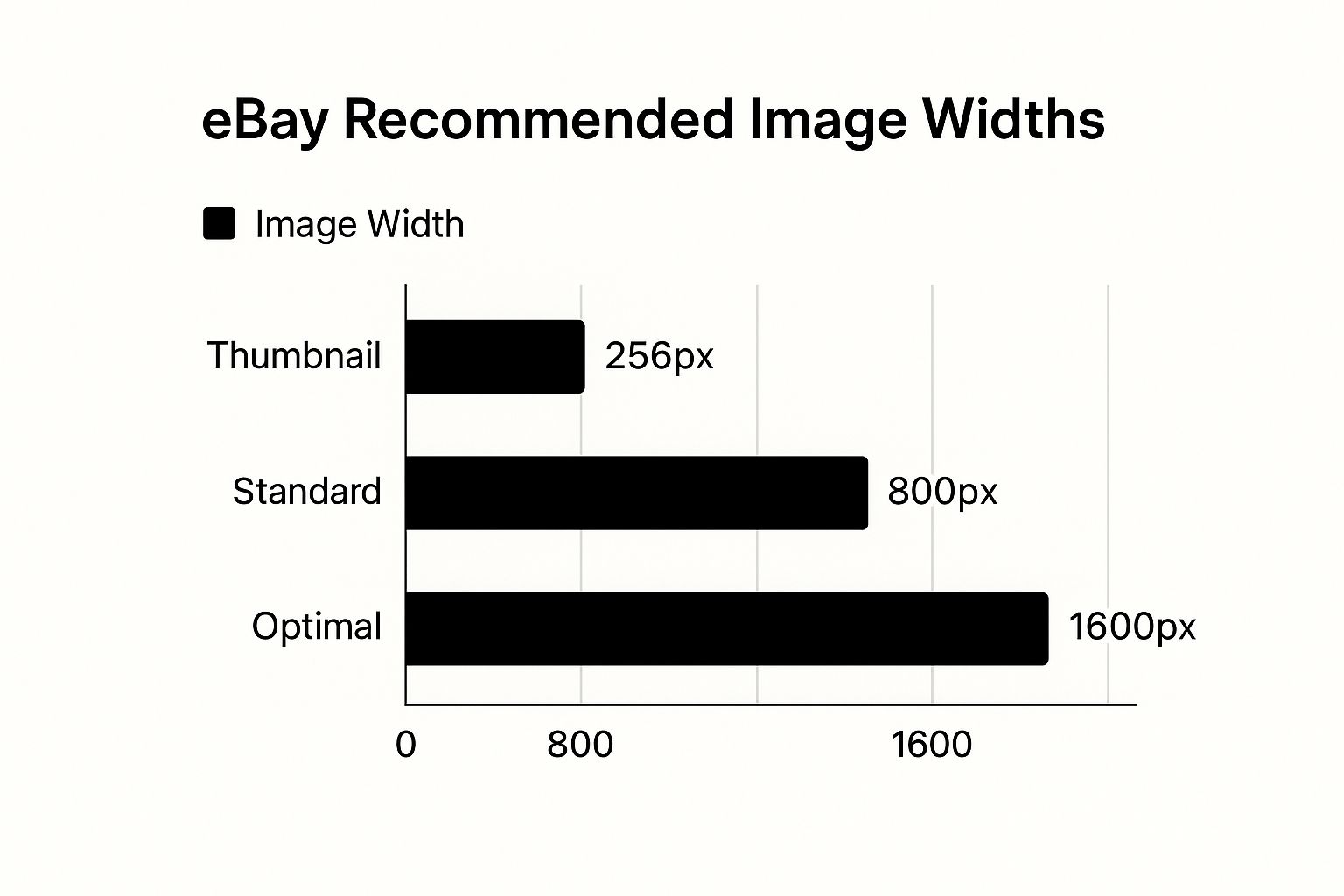 Infographic about ebay image dimensions