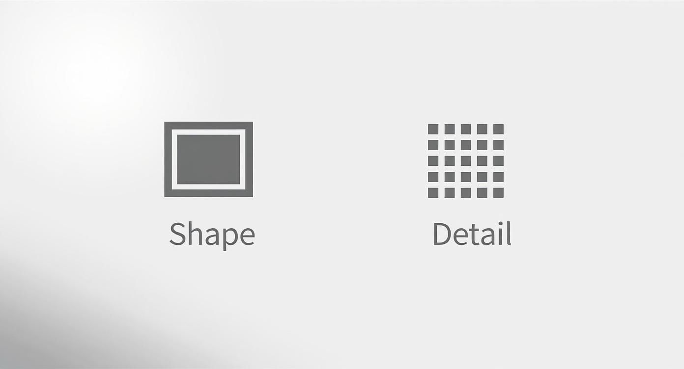 Infographic about shopify image sizes