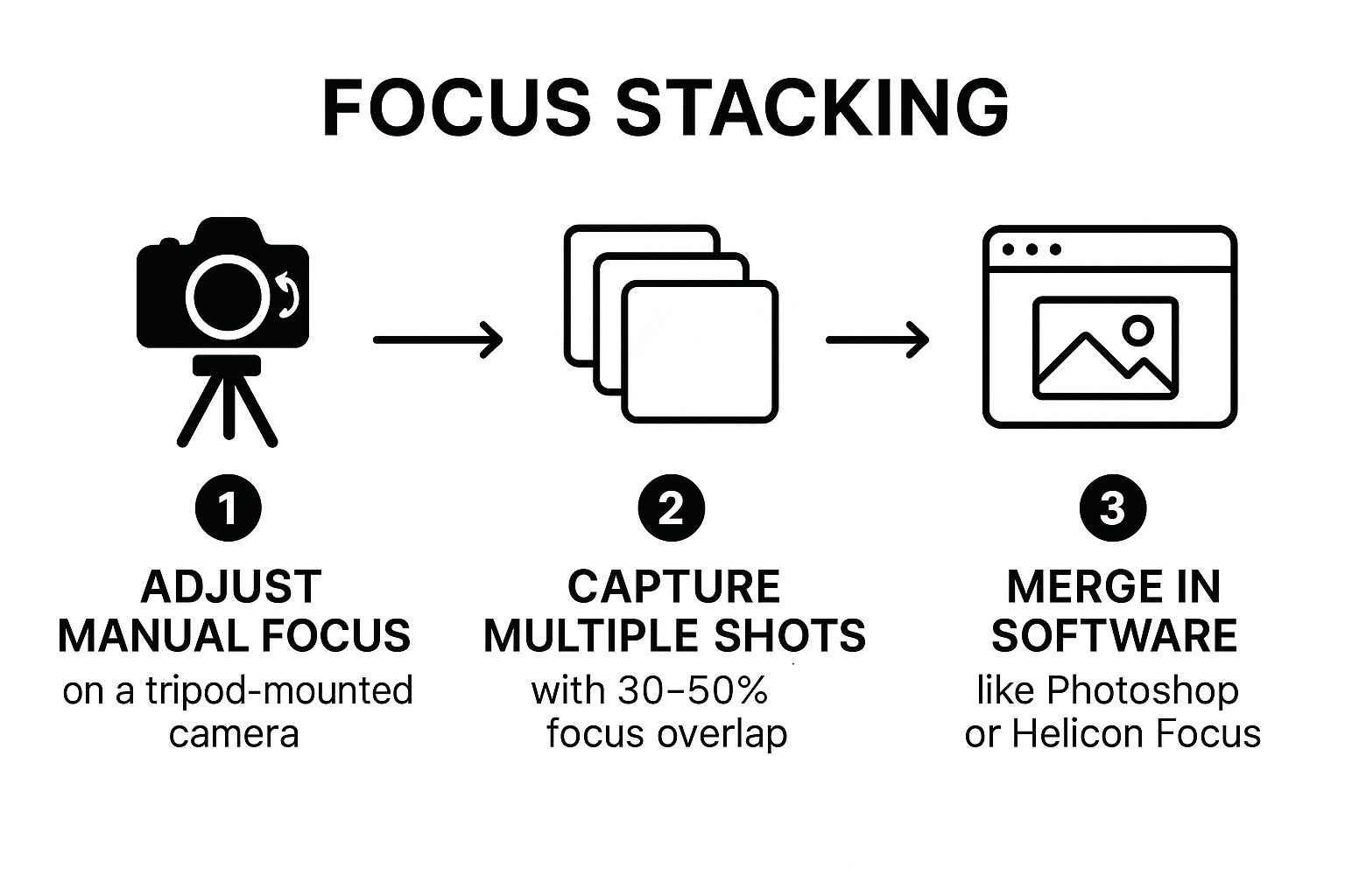 Infographic showing key data about Focus Stacking for Maximum Sharpness