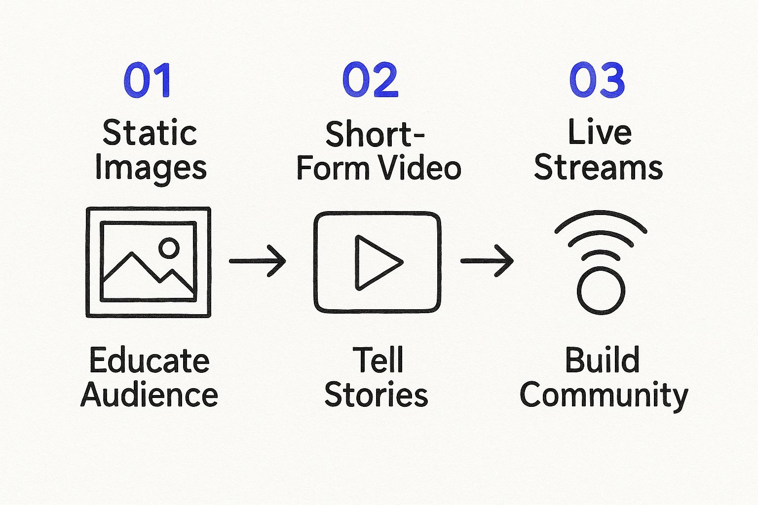 Infographic showing a process flow: Static Images lead to Educating the Audience, Short-Form Video leads to Telling Stories, and Live Streams lead to Building Community.