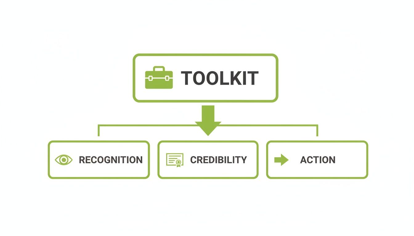 Flowchart showing 'Toolkit' leading to 'Recognition,' 'Credibility,' and 'Action' with relevant icons.