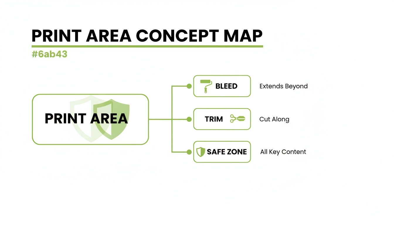A concept map defining print area, bleed (extends beyond), trim (cut along), and safe zone (all key content).