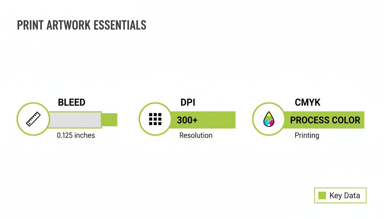 Infographic detailing print artwork essentials: bleed, DPI resolution, and CMYK process color for printing.