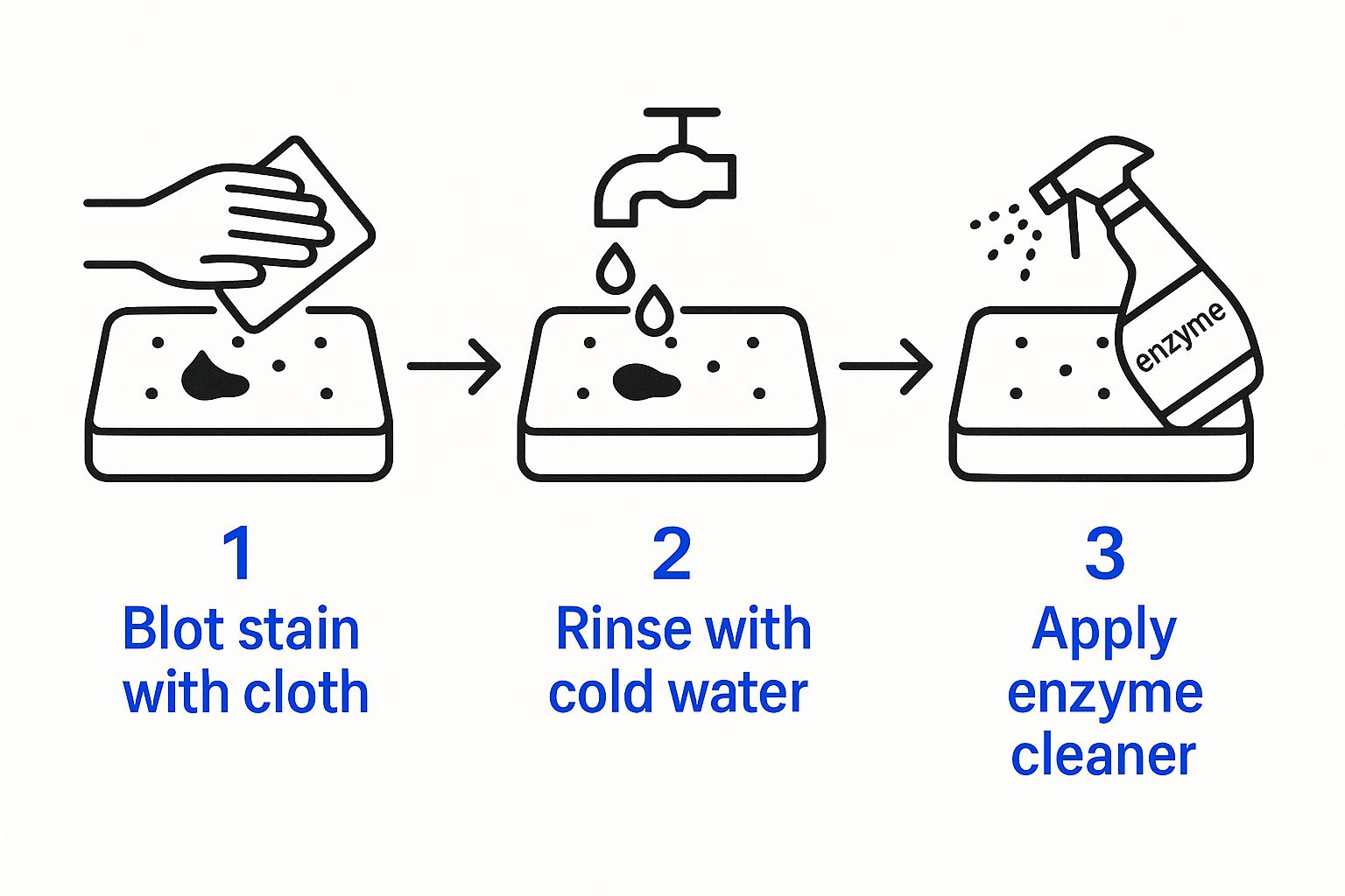Infographic about how to get blood out of mattress