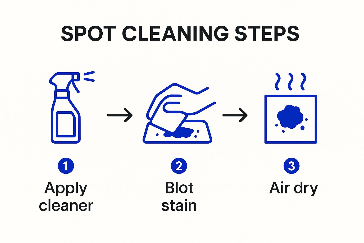 Infographic about how to clean a mattress