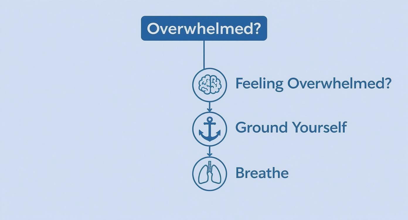 Infographic about how to stop feeling overwhelmed