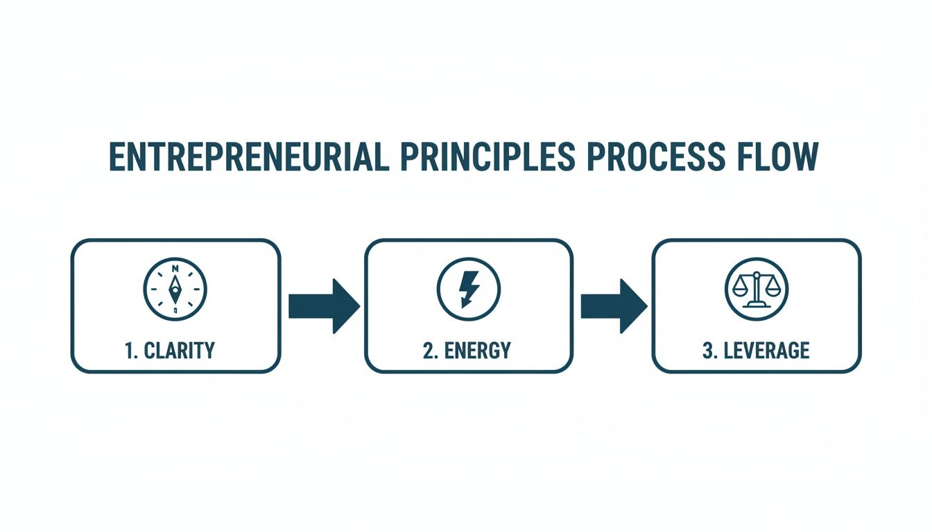 A process flow diagram illustrating three entrepreneurial principles: clarity, energy, and leverage.