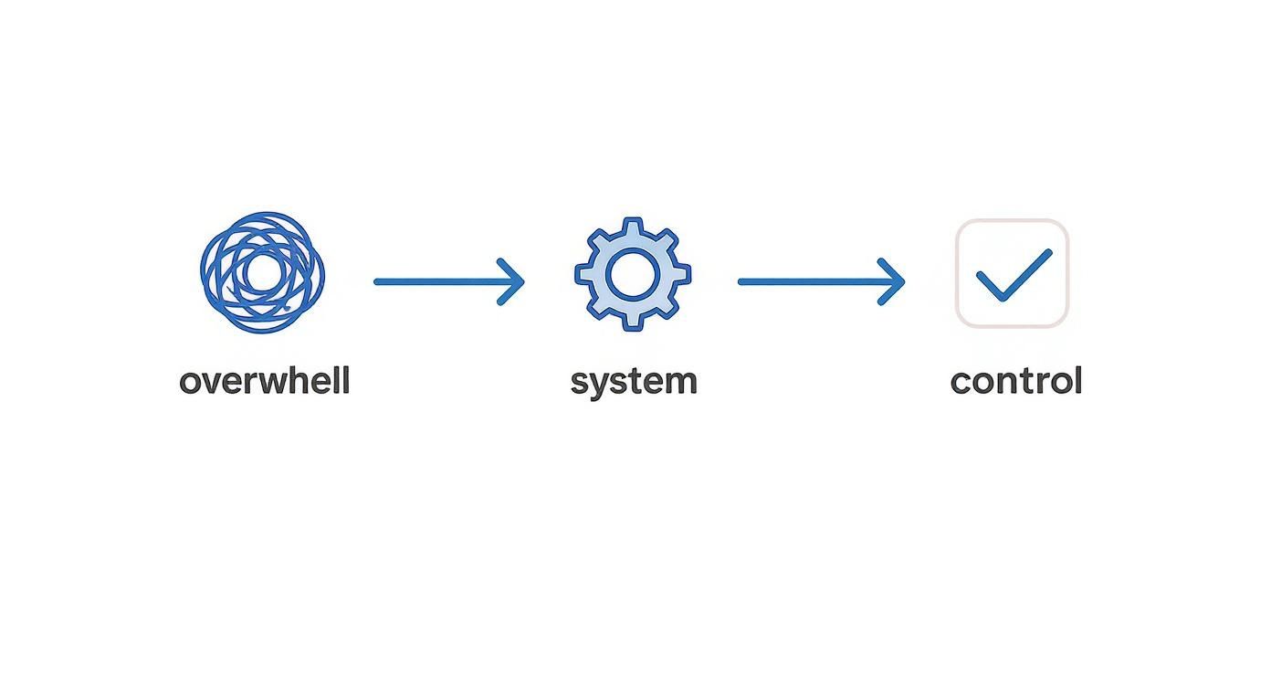 Project management workflow diagram showing progression from overwhelm through system implementation to control