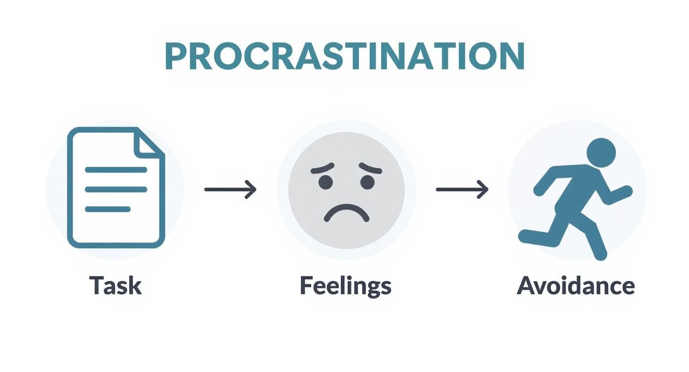 Infographic about how to overcome procrastination
