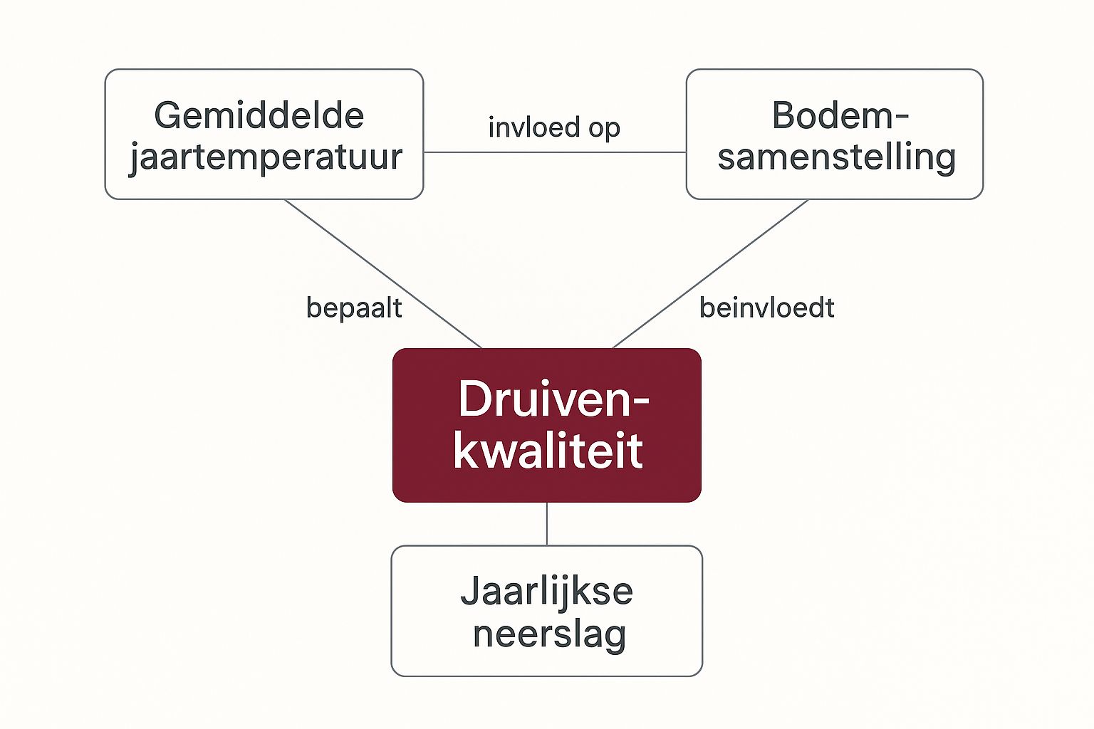 Infographic die de relatie toont tussen temperatuur, bodem, neerslag en druivenkwaliteit in de Primitivo di Manduria regio.