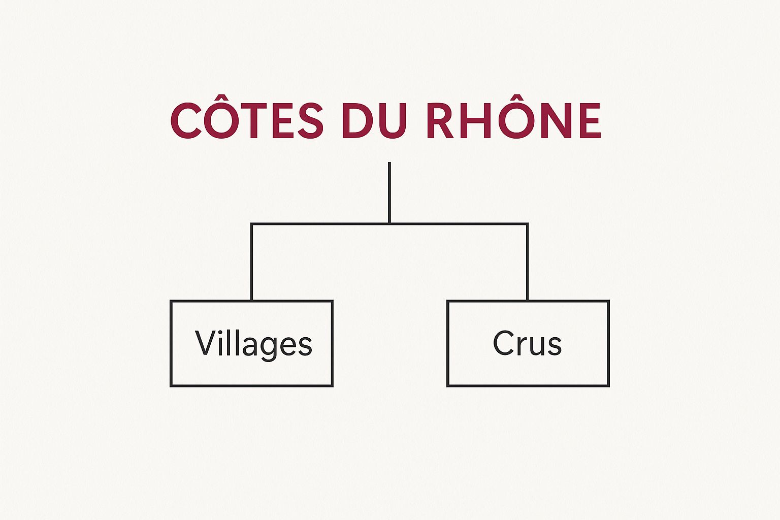 Infographic over cote du rhone