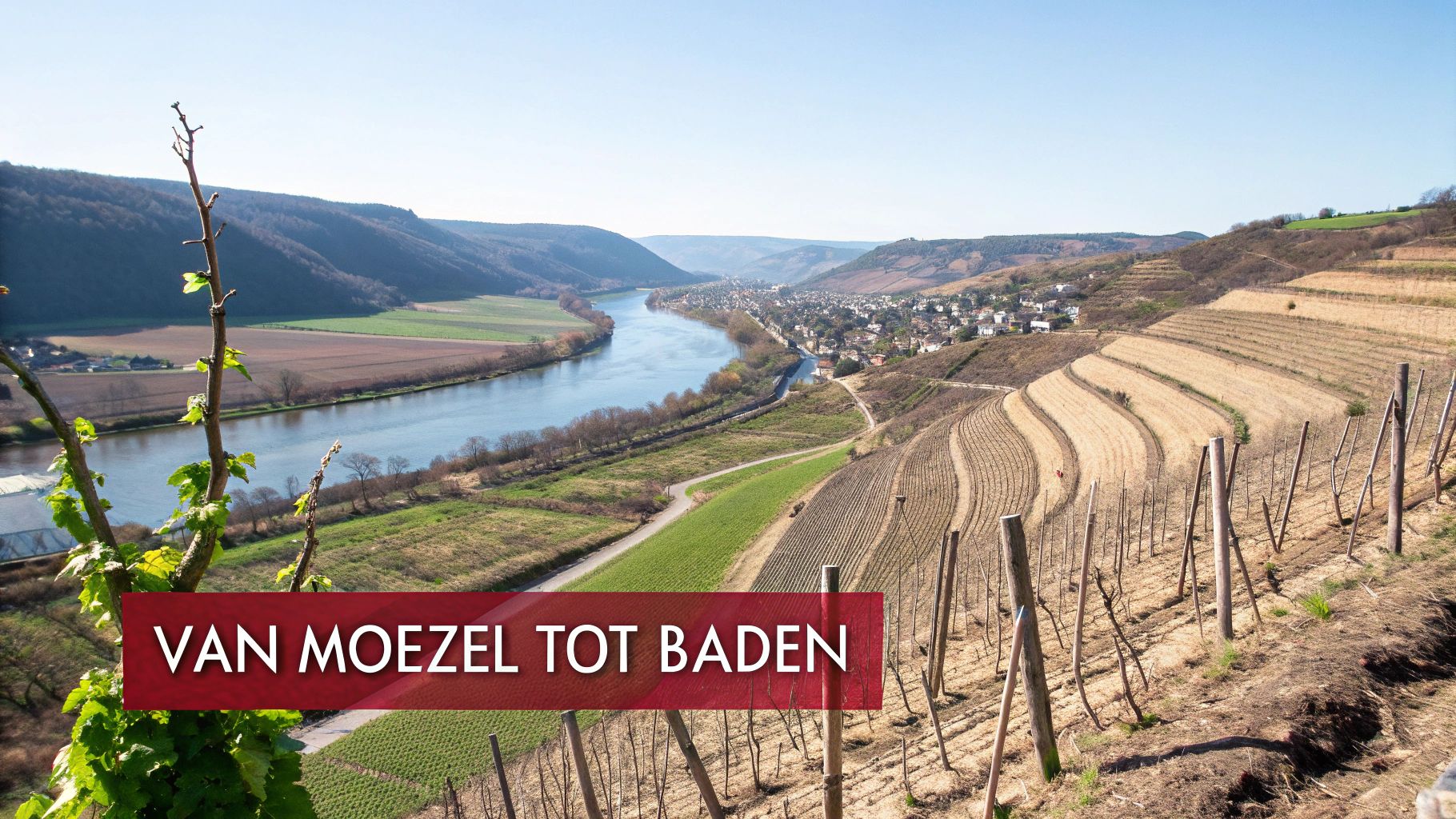 Een overzicht van de Duitse wijnstreken