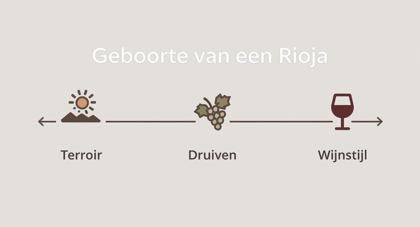 Infographic about beste rioja wijnen