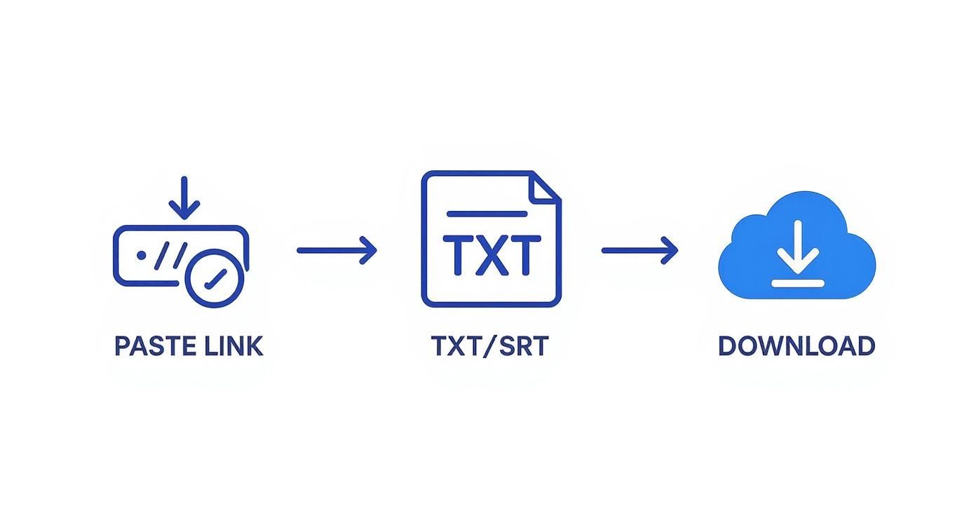 Infographic about download youtube transcript