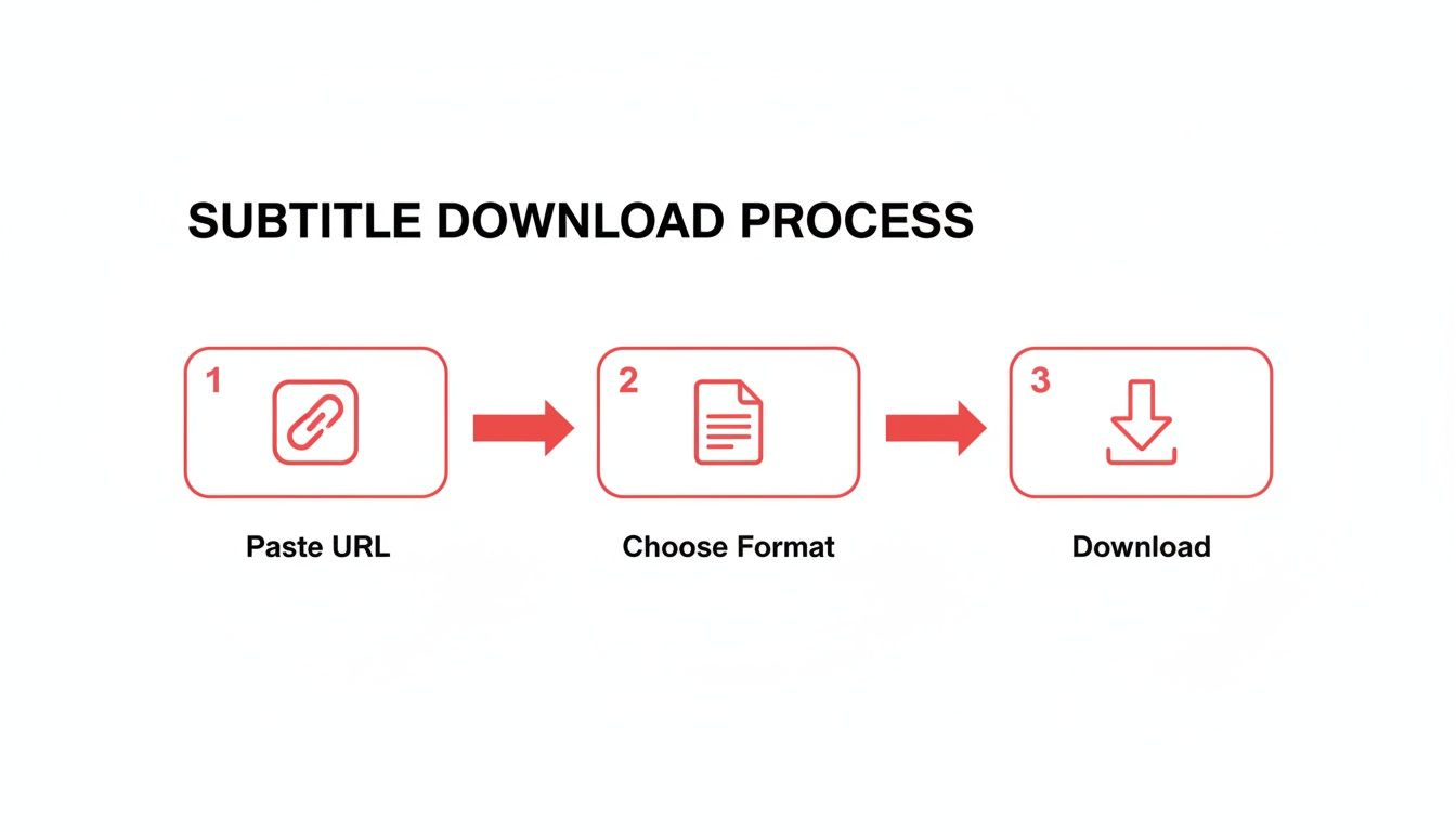 A diagram illustrating a three-step subtitle download process: Paste URL, Choose Format, and Download.