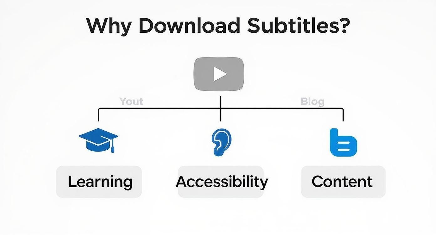 Infographic showing three main reasons to download subtitles: learning, accessibility, and content from Youtube or blogs