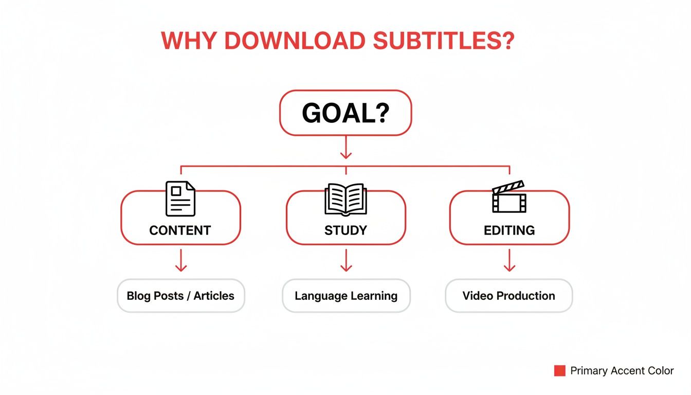 Flowchart illustrating reasons to download subtitles: content creation, language study, and video editing.